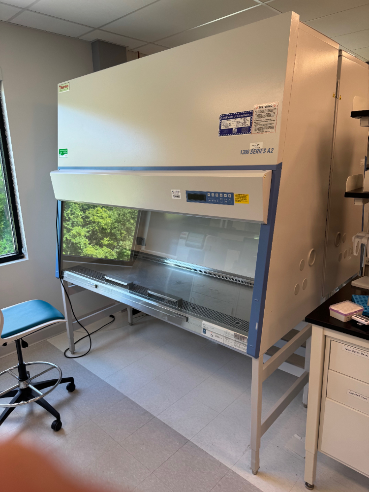 Image of Thermo 1300 Series A2 6' BioSafety Cabinet